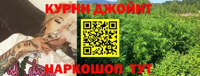 гашик Краснознаменск